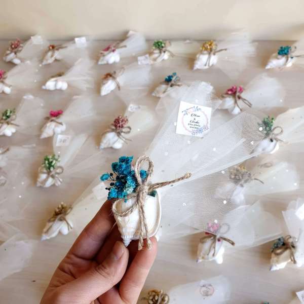 Deniz Kabuğu Nikah Şekeri Nks-38