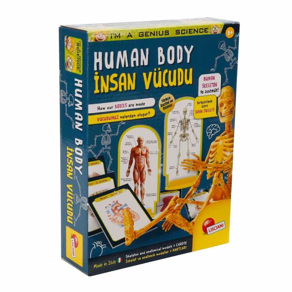 Human Body İnsan Vücudu Bilim Seti SNM-48960