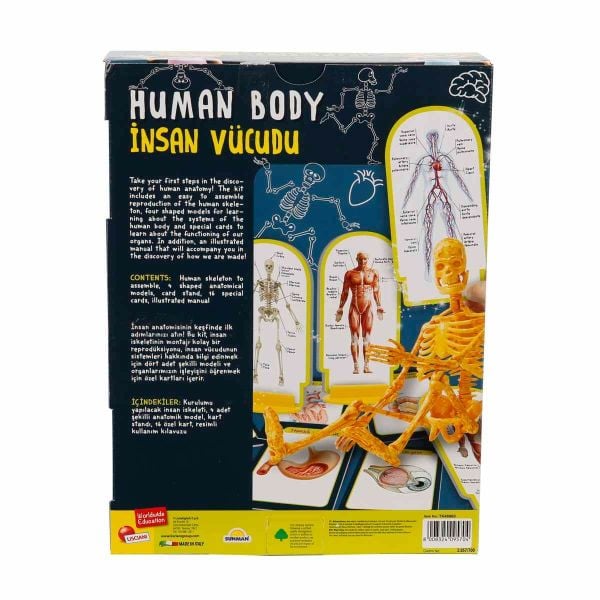 Human Body İnsan Vücudu Bilim Seti SNM-48960