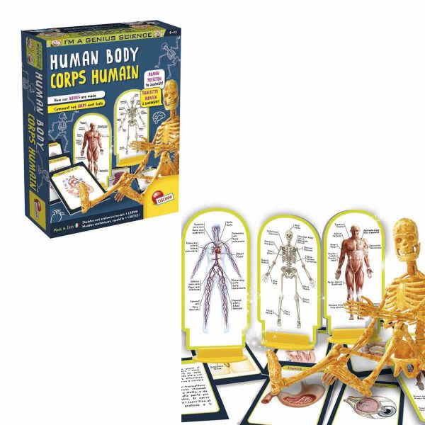 Human Body İnsan Vücudu Bilim Seti SNM-48960