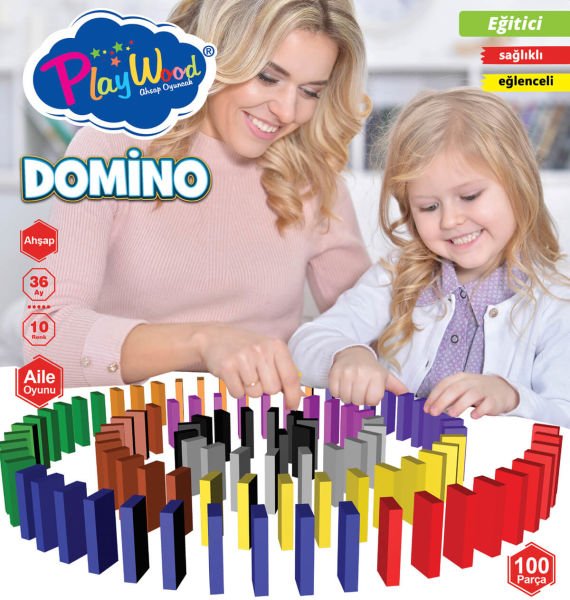 Eğitici Ahşap 100 Parça Domino Oyunu Oyuncak Seti ONY-388